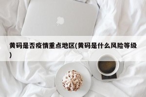 黄码是否疫情重点地区(黄码是什么风险等级)