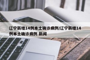 辽宁新增14例本土确诊病例/辽宁新增14例本土确诊病例 新闻